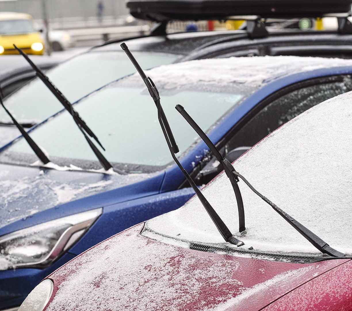 How to Choose the Right Windshield Wipers for Your Car